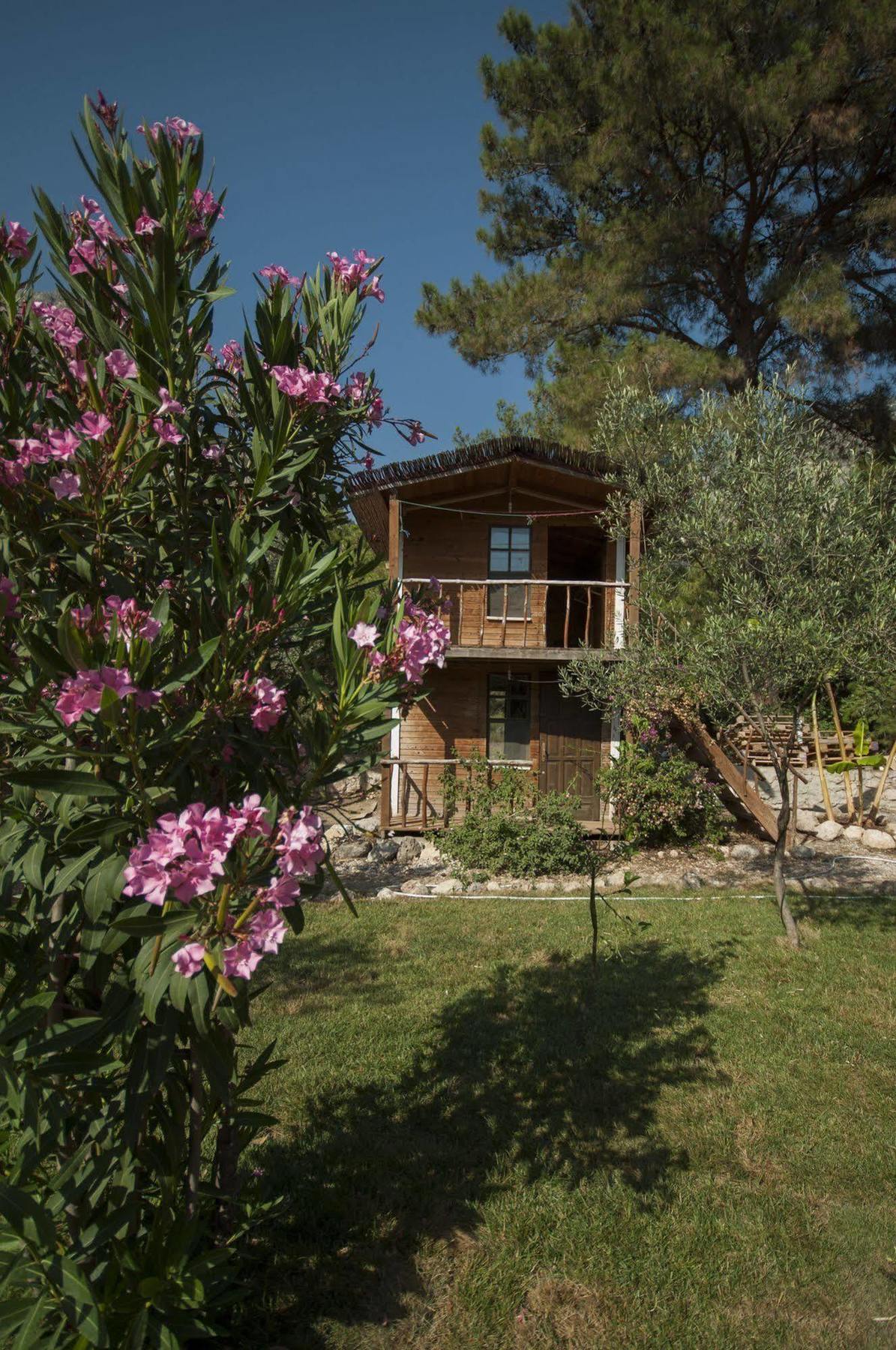 Chakra Beach Kabak Faralya Exterior photo